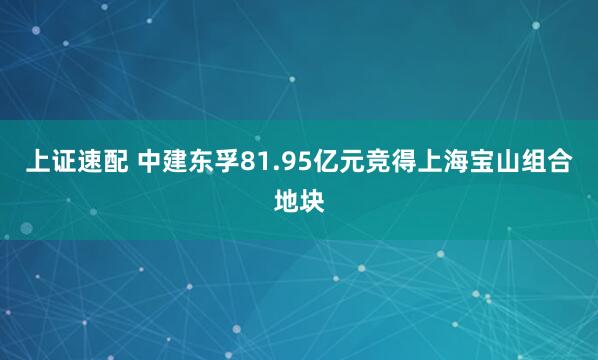 上证速配 中建东孚81.95亿元竞得上海宝山组合地块