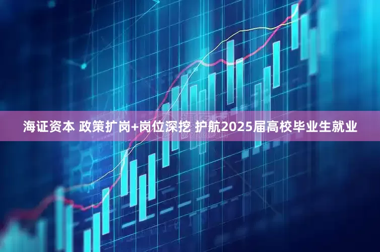 海证资本 政策扩岗+岗位深挖 护航2025届高校毕业生就业