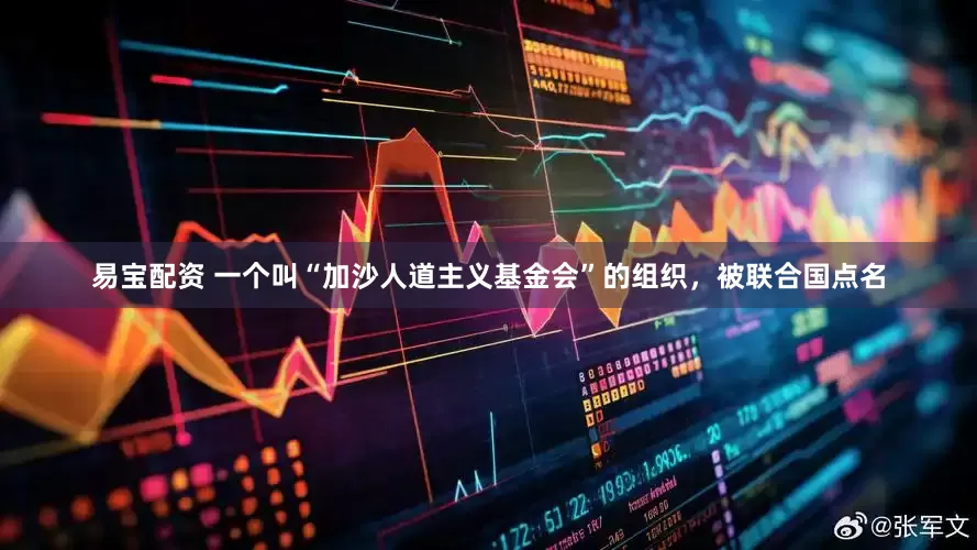 易宝配资 一个叫“加沙人道主义基金会”的组织，被联合国点名